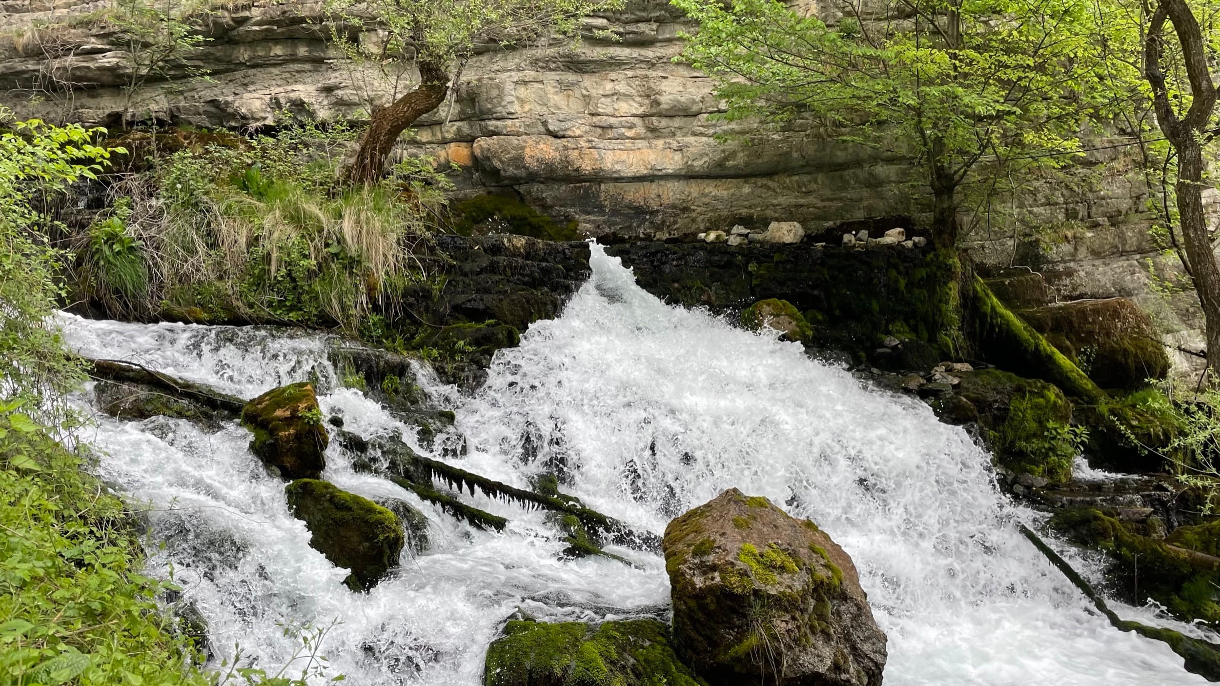 Zhitolub Spring
